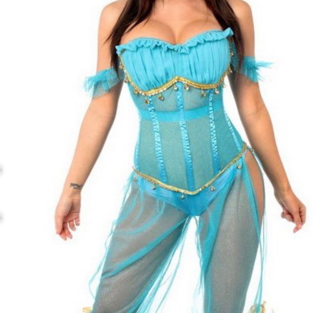 Princess Jasmine Women’s Costume